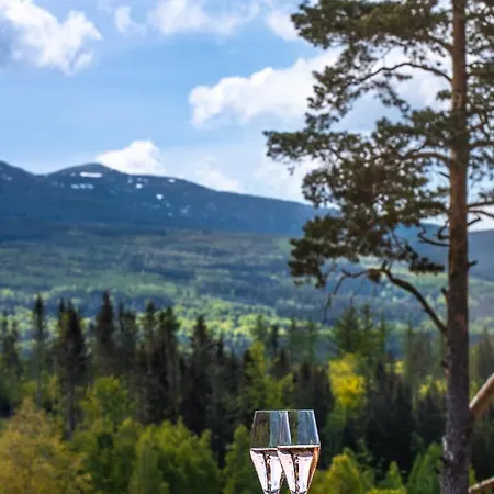 Seidorf Kolo Karpacza 5*